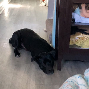 Meet your Posher, Miguel